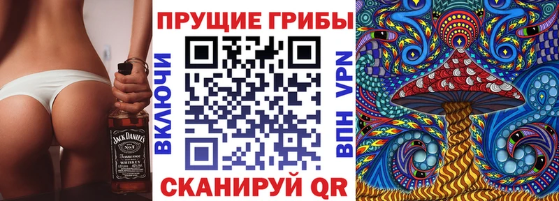 наркотики  Камышин  Галлюциногенные грибы прущие грибы 